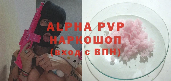 гидра Надым