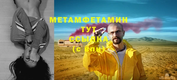 гидра Надым