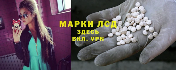гидра Надым