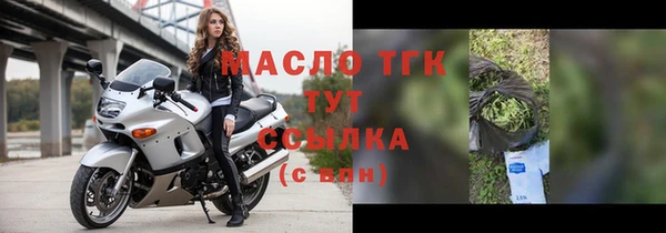 гидра Надым