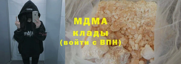 гидра Надым