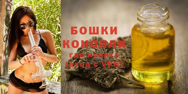 гидра Надым