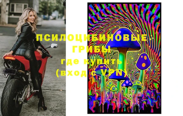 гидра Надым