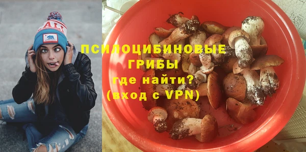 гидра Надым