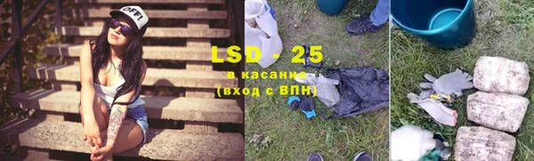 гидра Надым