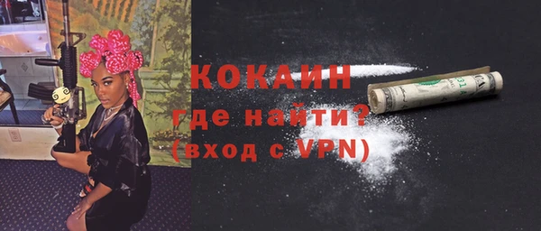 гидра Надым